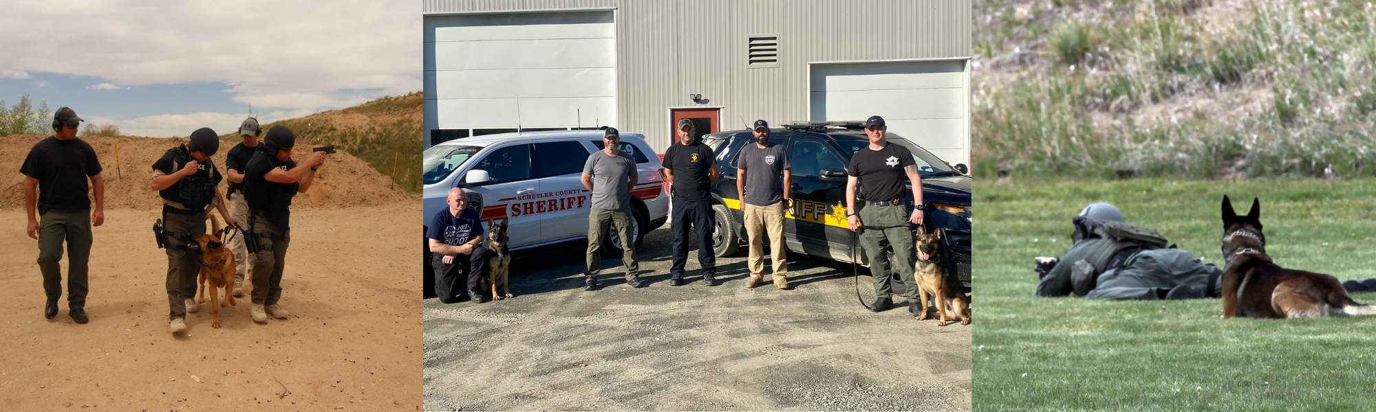 law enforcement TEAMS with police dogs collage